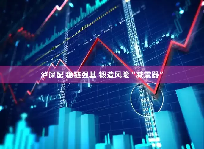 泸深配 稳链强基 锻造风险“减震器”
