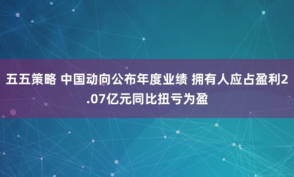 五五策略 中国动向公布年度业绩 拥有人应占盈利2.07亿元同比扭亏为盈